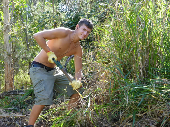 Fabian clearing guinea grass