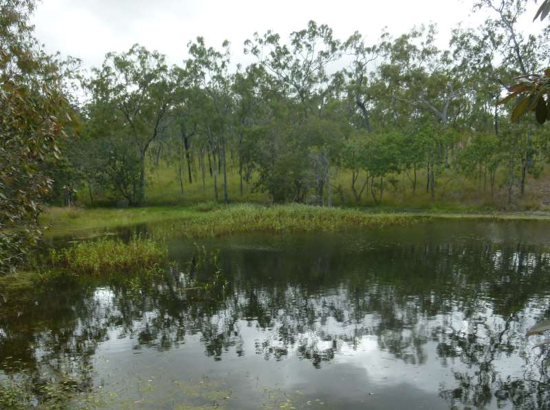 One of the springfed dams