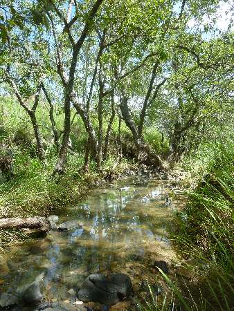 Down at the creek