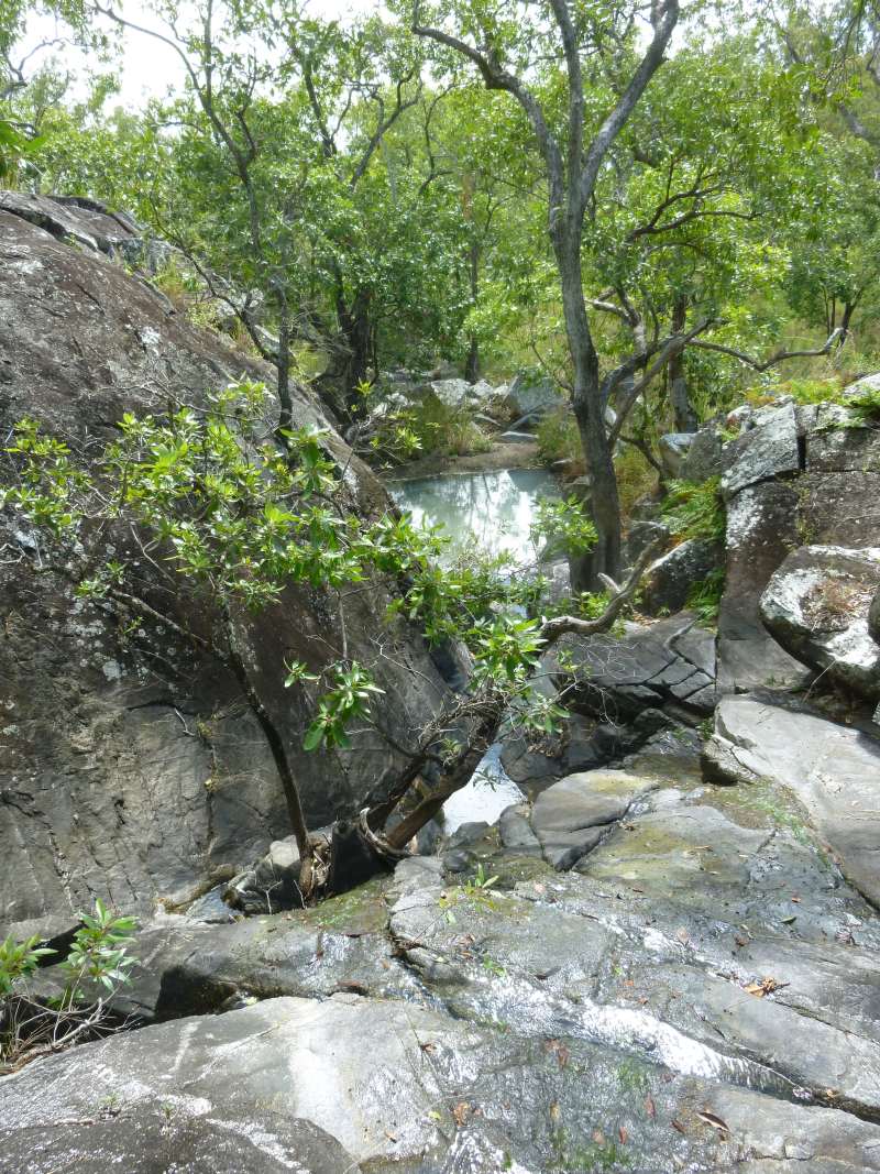 One of the seasonal creeks