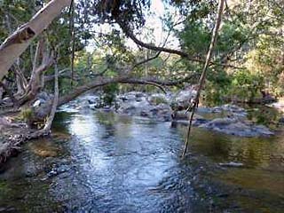 Emerald Creek