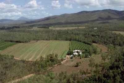 Koah Property - Arial view to the north