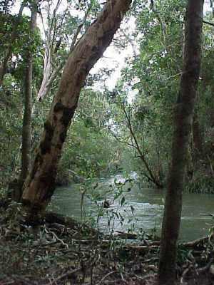 Koah Farm - down at
                        the Clohesy-River