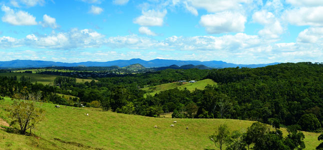 Atherton Tablelands farm veiws