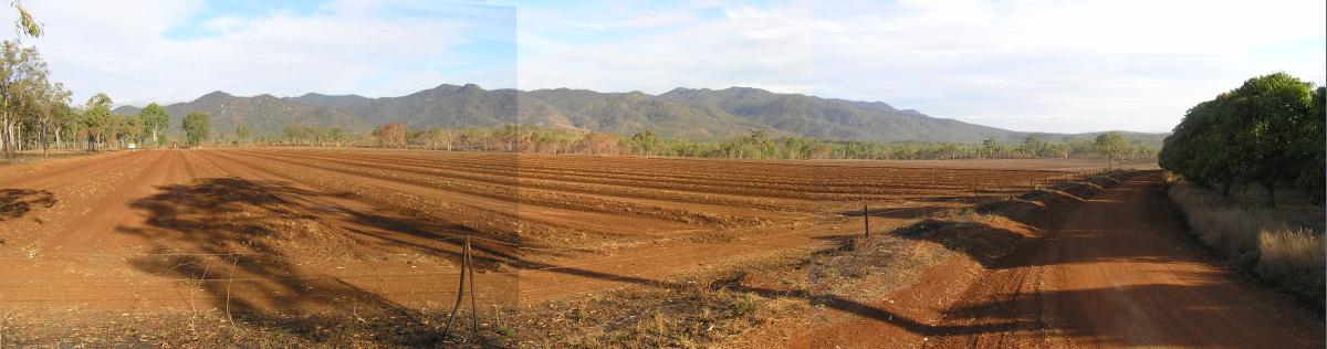 The Front Field_Panorama