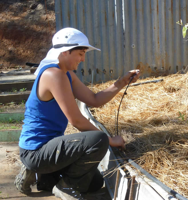 Jessica installing a mIcro Sprinkler system in the Vegetable garden