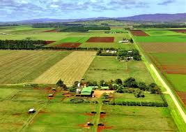 Atherton Farmland