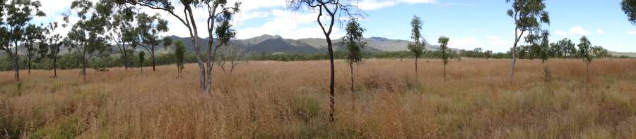 view from proposed share-house