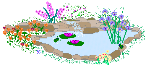 garden pond with flowers