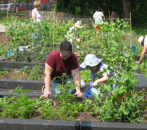 People Gardening