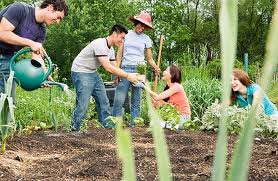 prople working in gardens