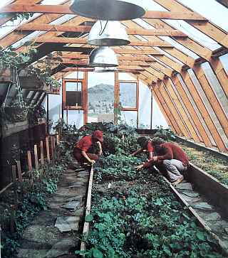 seedling nursery