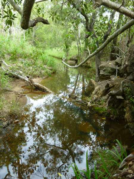 Along Ada Creek