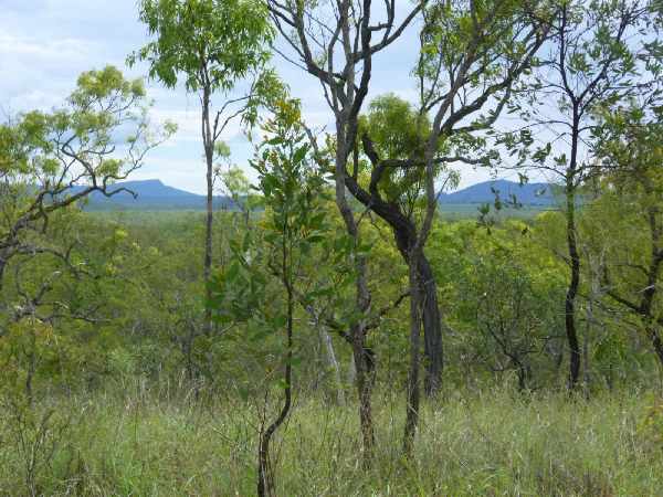 Distant vistas across the Barron river valley