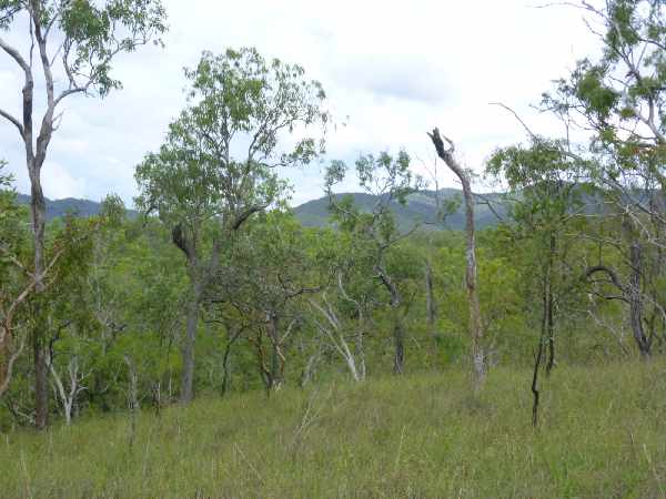 Views from a hill in the back of Lot 1