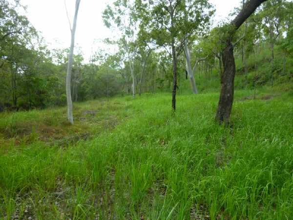 Riverflat on Ada Creek