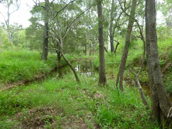 On Ada Creek in the back of Lot 2