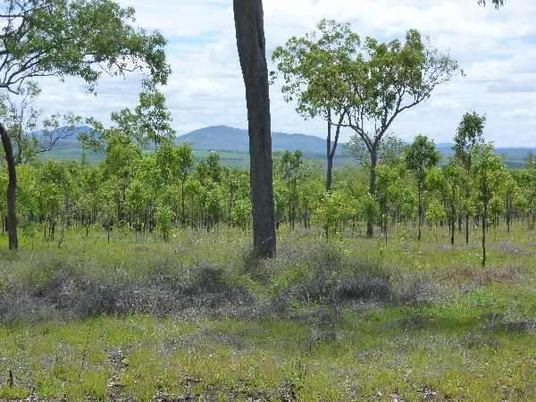 Views across Barron River Valley from near the Road