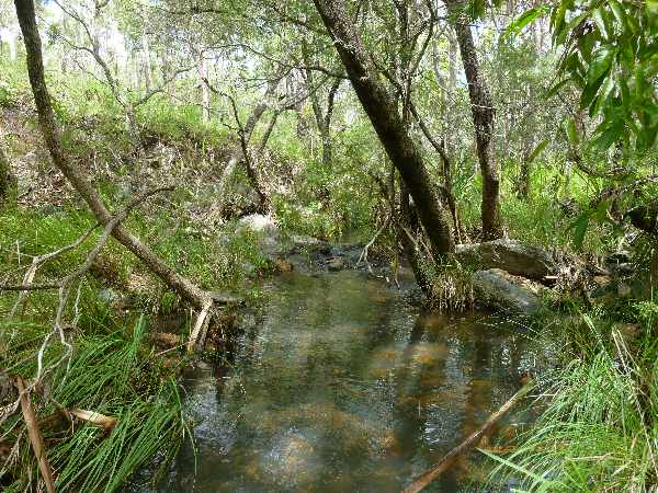 Along Ada Creek