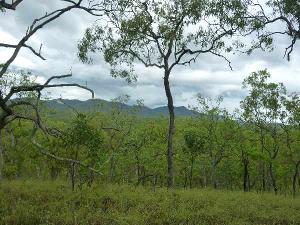 Views from a hill in the back of Lot 3