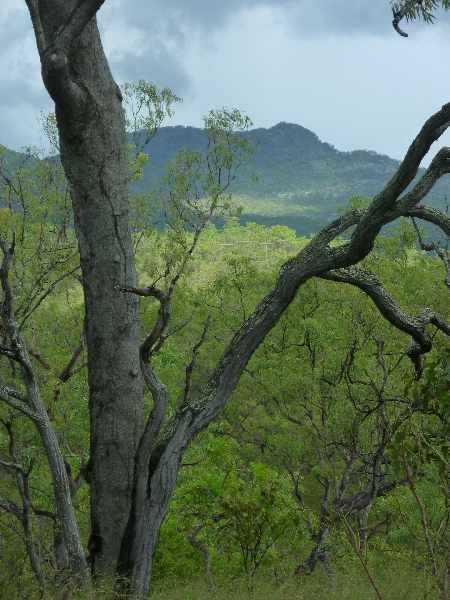 Views from last hill on Lot 3