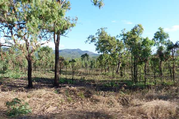 Flat fertile field near the road