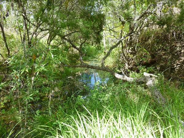 Permanent waterhole on Ada creek