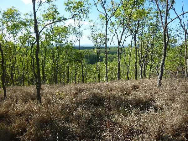 Views form a hill in the back of Lot 4