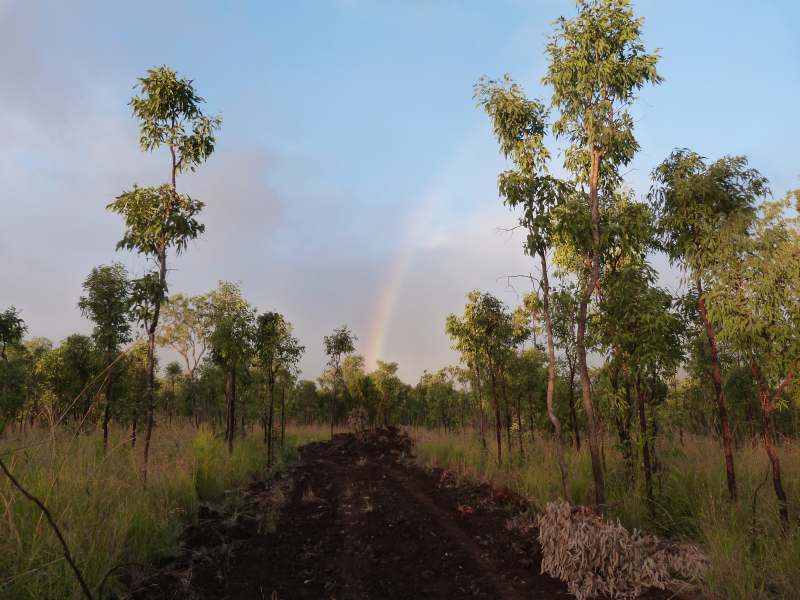 Rich volcanic soil on very gently sloping ground