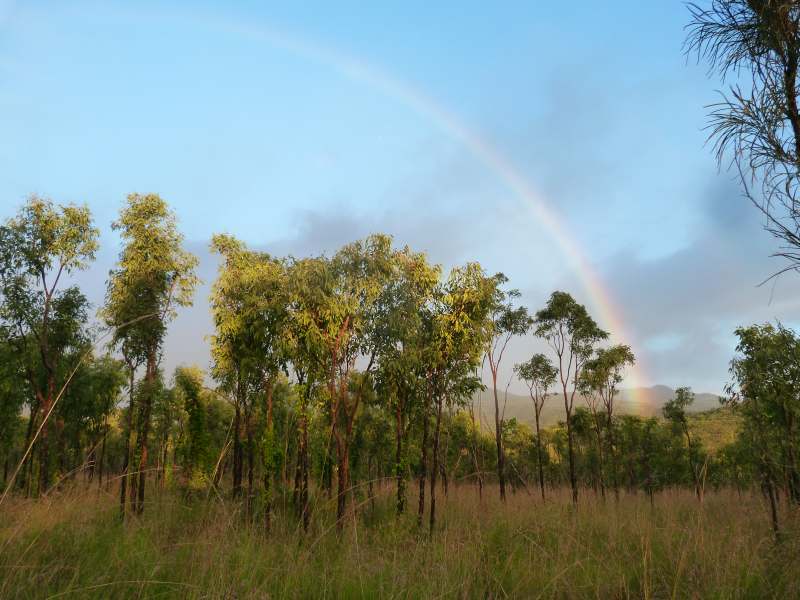 Fertile flat near Emerald falls road with great vistas