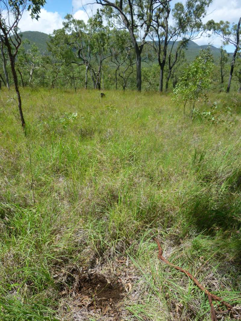 Fertile land on ridge with good views