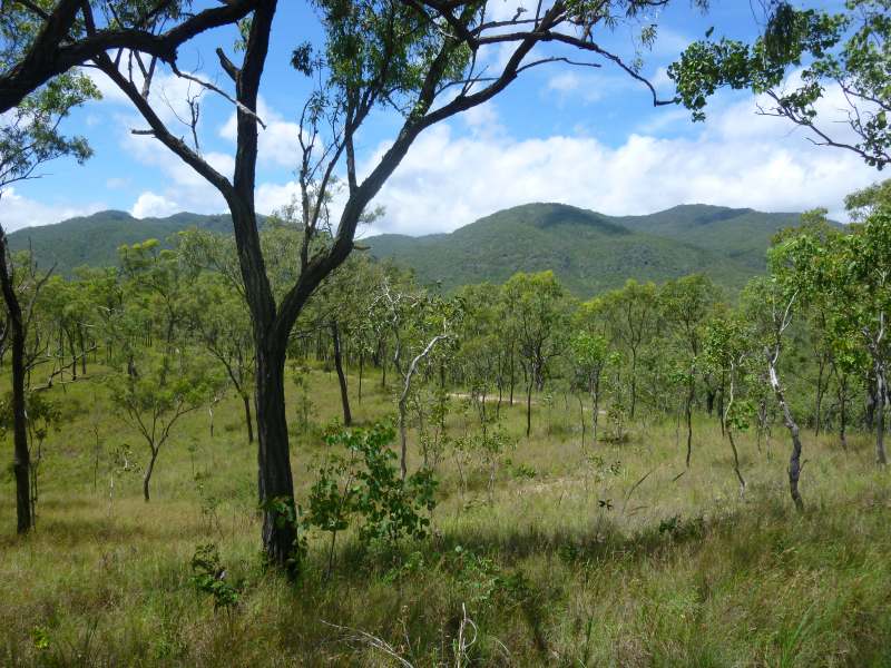 looking north to the mountain range