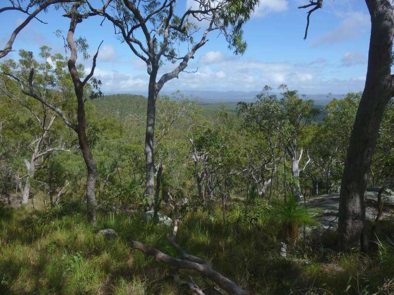 View to the south from 750 m elevation