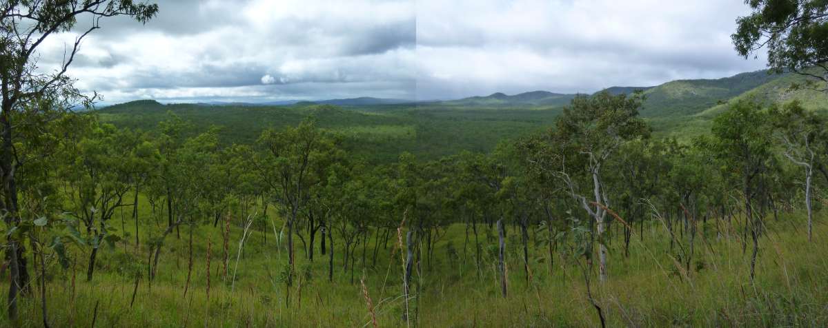 Panorama looking north