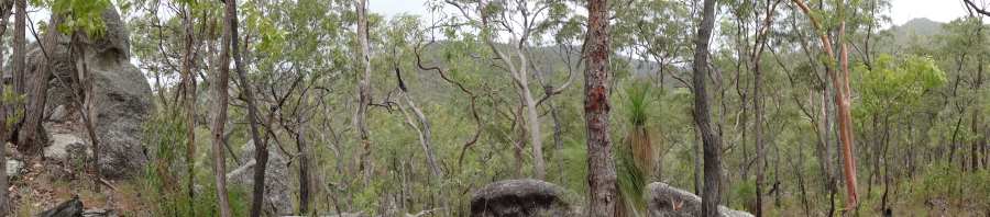 panorama with cave