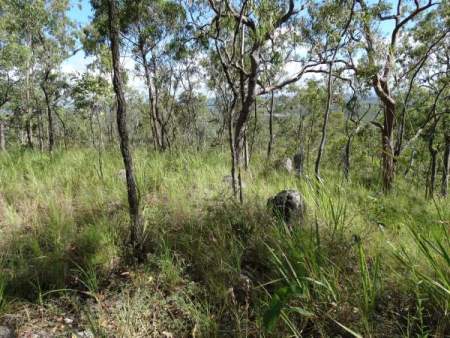 view from camp 6 to lake